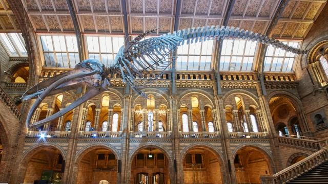 Scopri di più sull'articolo Le meraviglie del pianeta Terra